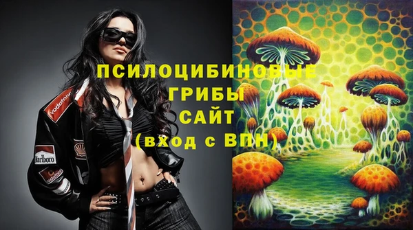 гидра Магадан