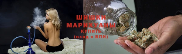 дживик Медвежьегорск